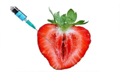 تزریق چربی به واژن و مزایای آن